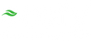 ecofy Schriftzug – Nachhaltige Sportkleidung aus Hanf